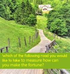 Which of the following road you would like to take to measure how can you make the fortune?